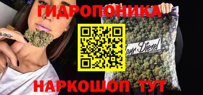 СК Рыбинск
