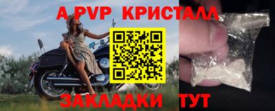 СК Рыбинск