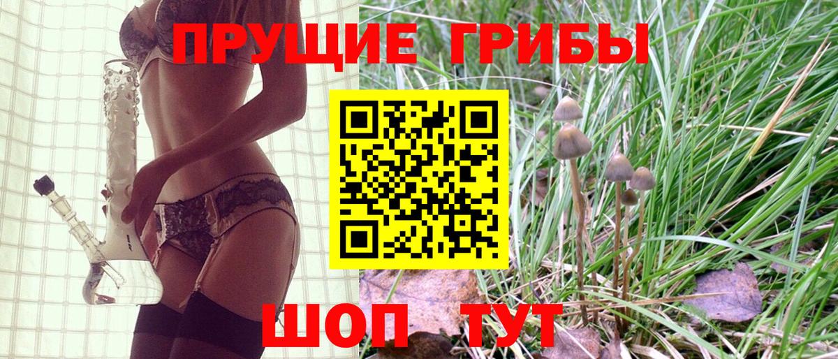 Павлово  продажа наркотиков  Вход с VPN  Галлюциногенные грибы GOLDEN TEACHER 